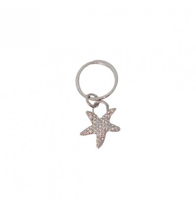 /8779 P.chiavi stella marina