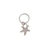 /8779 P.chiavi stella marina