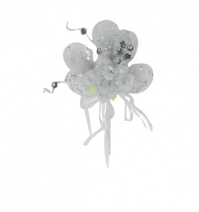 /L758-ARG Ram.rosa+5racch.ARGEN