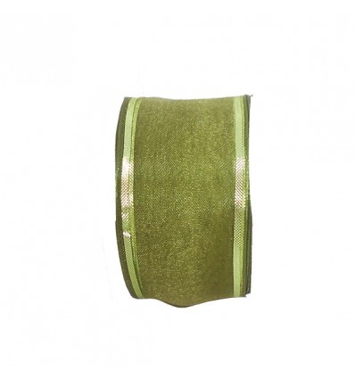/4461/38-V Organza mm38x20mt VERDE 66