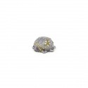 /875X005 Scarabeo glitter argento
