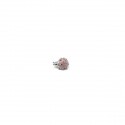 /1012805 Coccinella mini ROSA
