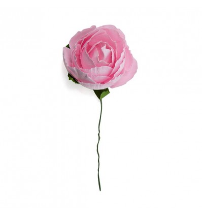 /876X212 Rosa selvatica gde carta ROSA