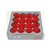 3150047 Conf. 16pz rose princesa d.2,5 stabilizz. ROSSO (RSP/4200)