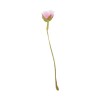 /CK1339-R Rosellina stoffa c/pistilli ROSA