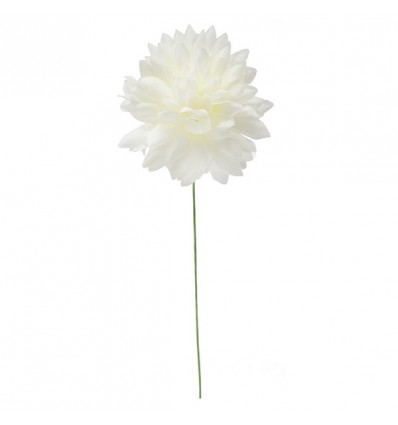 /31101/AVO Dalia media d.6,5 AVORIO