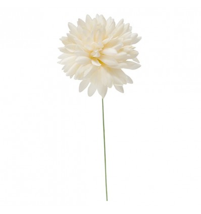 /31101/CRE Dalia media d.6,5 CREMA