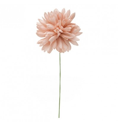 /31101/ROSA Dalia media d.6,5 ROSA