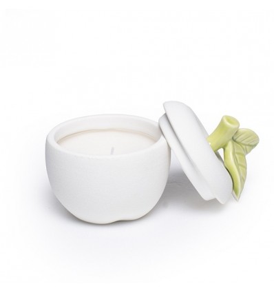 /EVA 200 Scatola mela 8,8x10,6 c/candela NO SCATOLA