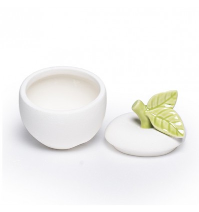 /EVA 201 Scatola picc. mela 8,8x10,6 NO SCATOLA