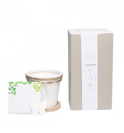 /LAV 301 Vaso con semi d.9x9,1 con scatola