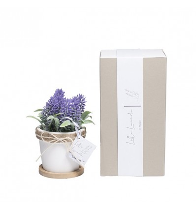 /LAV 304 Vaso lavanda picc d.8x7,2 con scatola