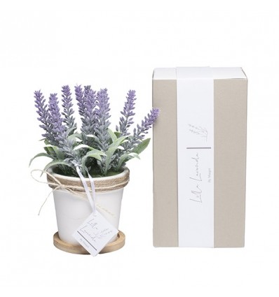 /LAV 305 Vaso lavanda gde d.9x9 con scatola