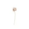 /K4106-T Rosellina stoffa d.3 TORTORA