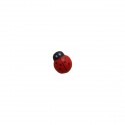 CZ01 Coccinella mini cm1,5 legno c/adesivo ROSSA