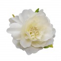 SC034-PN Fiore Ortenzia d.7 stoffa PANNA