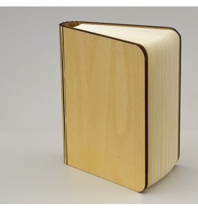 1409025 Lampada LIBRO led cm10x8x2,5