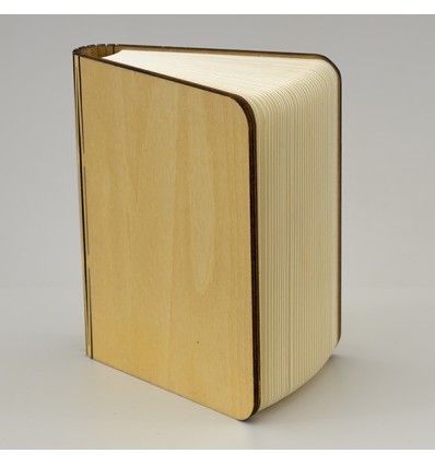 1409026 Lampada LIBRO led cm12x9x2,5