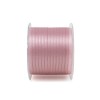 A1003 Dpp rs mm3x100m RS ANT37