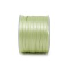 A1006 Dpp rs mm6x100m ERBA 07
